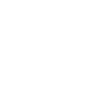 euro