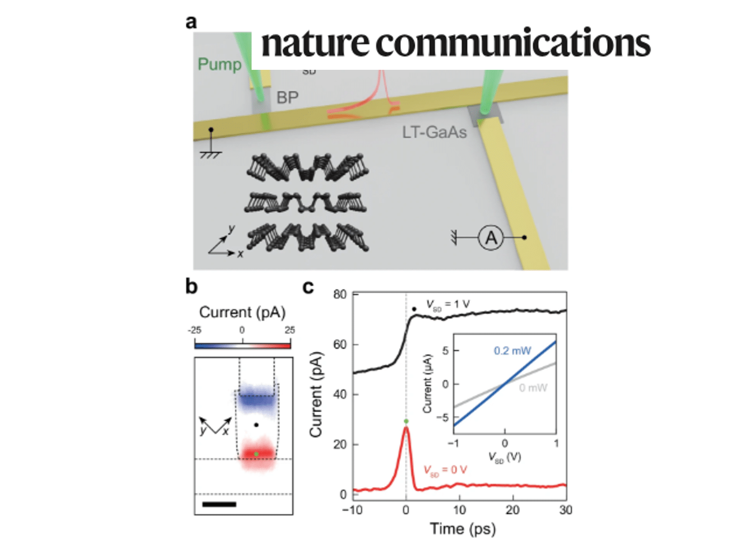 Figure publication norio 2026 2 et titre
